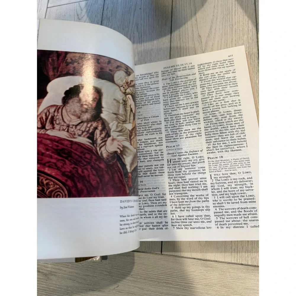 NEW Holy‎ Bible 3D Hard Cover King James Version Full Color Illustrations